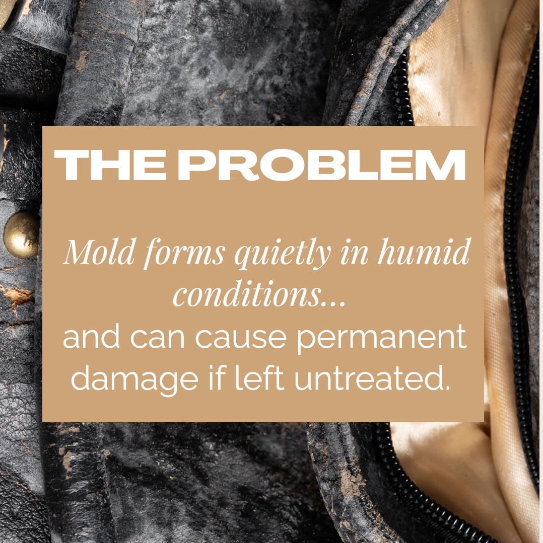 再见霉菌（霉菌）护理套装！