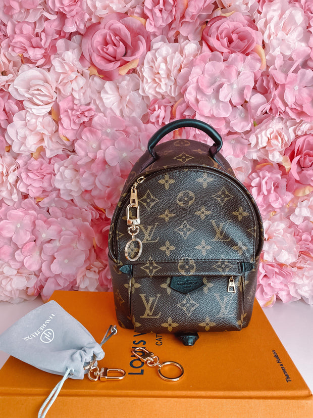 LOUIS VUITTON PALM SPRINGS MINI BACKPACK WORTH IT?, Review, Wear and Tear, What Fits